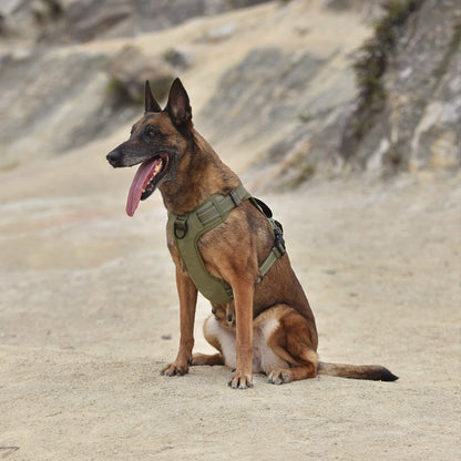 High-Performance Tactical Dog Harness – No-Pull Control