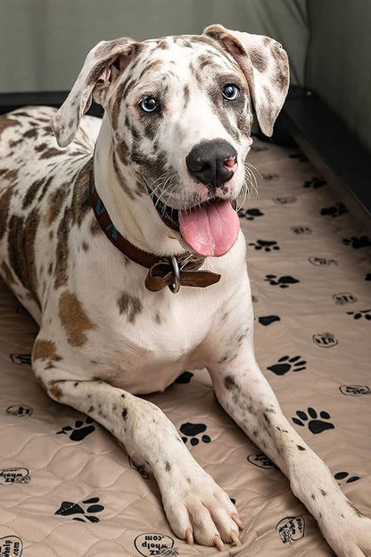 Reusable Dog Pee Pads, Washable Waterproof Mats for Potty Training or Whelping Pads, Puppy Pad with Rounded Corners, 36X48 Inch, 2 Pack